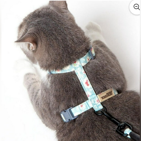 SOLD- Large Cat Harness Leash Combo - Picture 4 of 8
